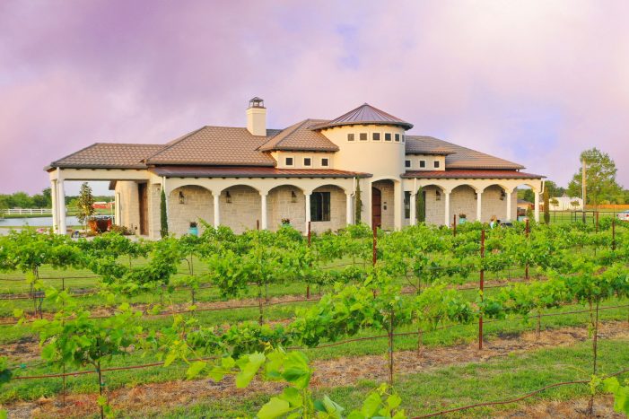 Rosini Vineyards uncorks new menu, introduces ‘Winery & Eatery’ concept