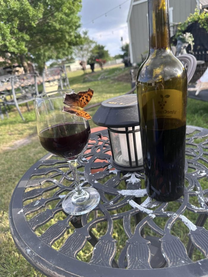 History comes to life at Vinecrafters with patriotic dinner series and debut of guest chef Karl Wilhelm