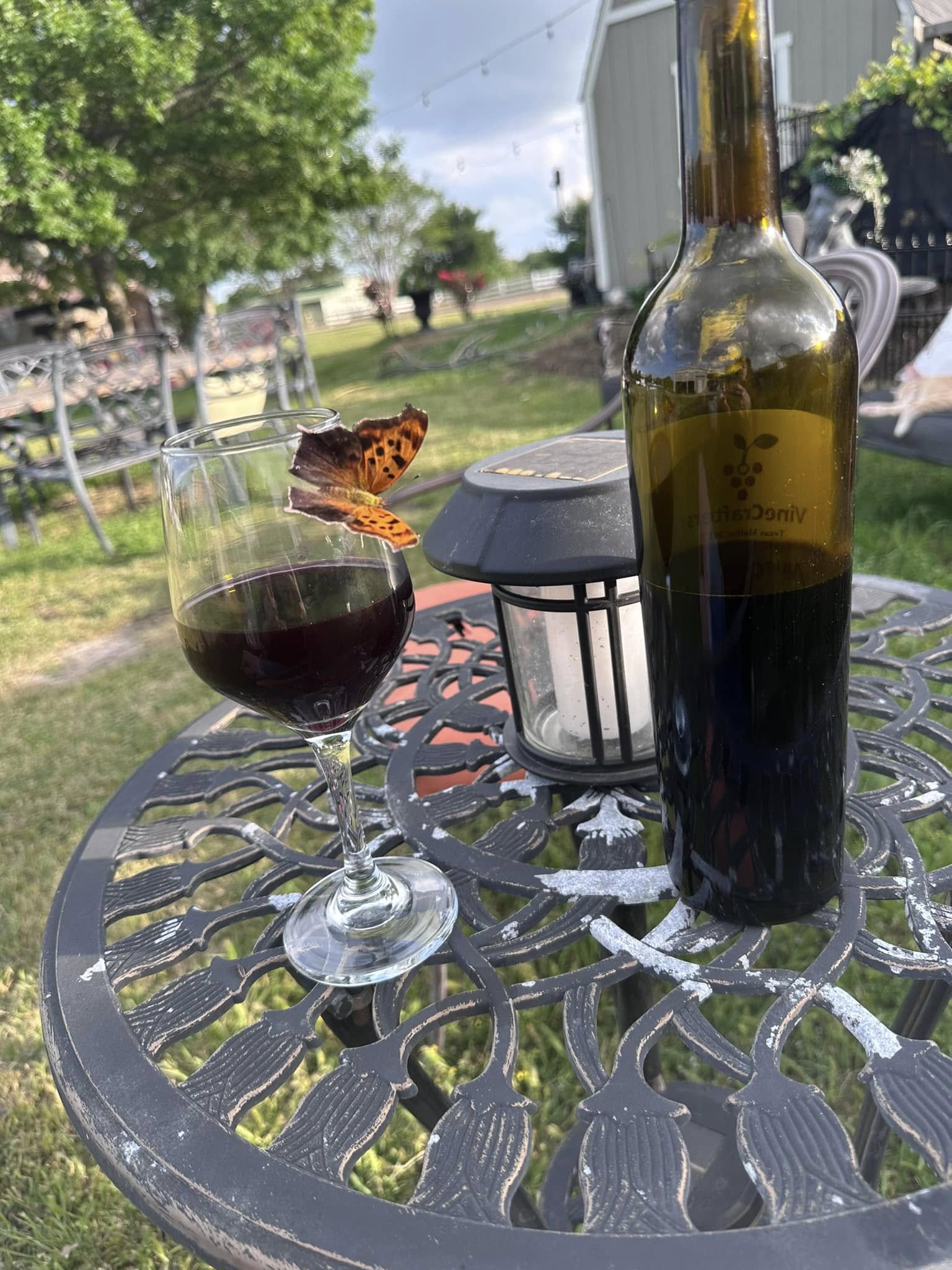 History comes to life at Vinecrafters with patriotic dinner series and debut of guest chef Karl Wilhelm