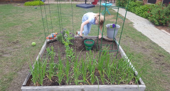 Gardening supports your child’s development in powerful and lasting ways