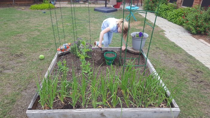 Gardening supports your child’s development in powerful and lasting ways