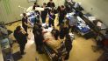 Specialized Dental Team Provides Life-Changing Root Canals for Rescued Exotic Cats