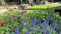 Tips from Rockwall County Master Gardeners to Plant Smart, Water Less