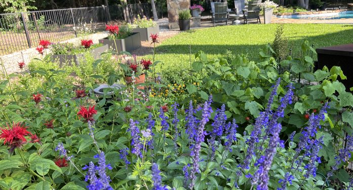 Tips from Rockwall County Master Gardeners to Plant Smart, Water Less