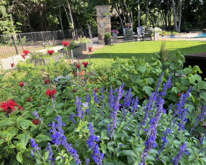 Tips from Rockwall County Master Gardeners to Plant Smart, Water Less Tips from Rockwall County Master Gardeners to Plant Smart, Water Less