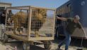 In-Sync Exotics Welcomes Animals Following Closure of Nevada Sanctuary