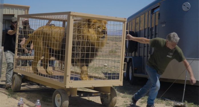 In-Sync Exotics Welcomes Animals Following Closure of Nevada Sanctuary