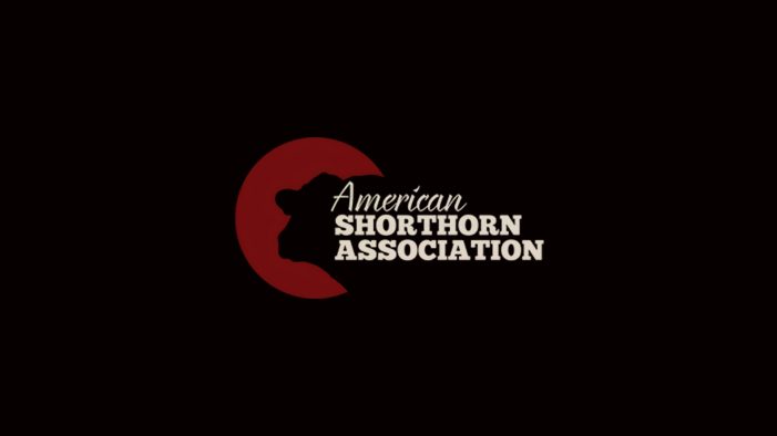 Shorthorn Youth Showcase Photography, Quiz Bowl Skills at National Junior Show in Abilene