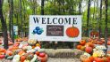 Blase Family Farm Pumpkin Patch Opens Sept. 19
