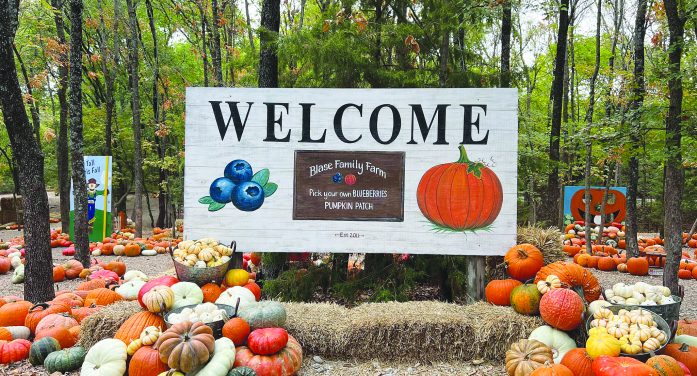 Blase Family Farm Pumpkin Patch Opens Sept. 19