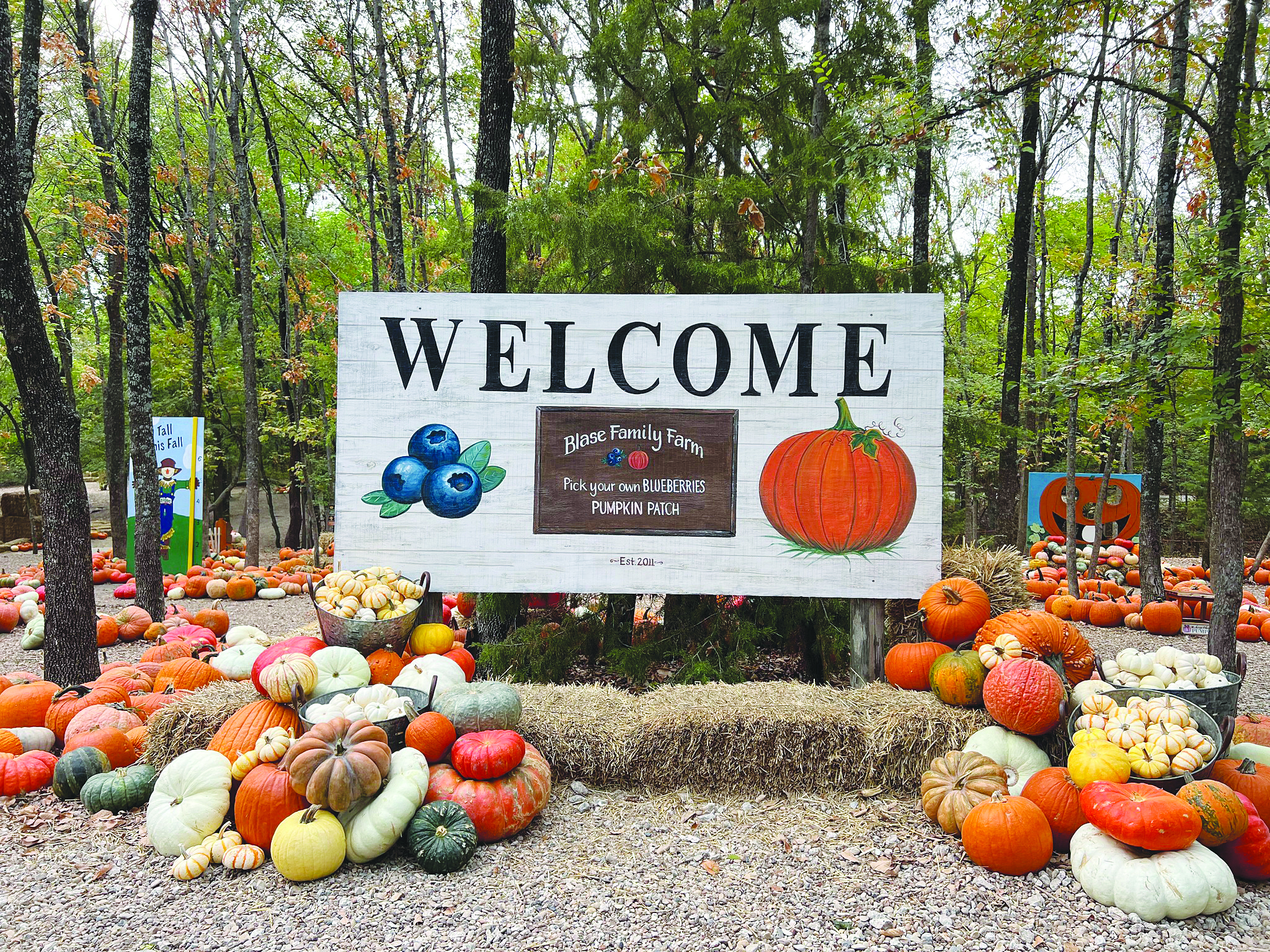 Blase Family Farm Pumpkin Patch Opens Sept. 19