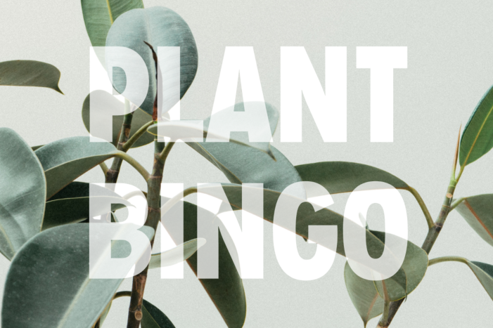 Botanical Bingo presents Plant Bingo Night at Bearded Monkey Rockwall