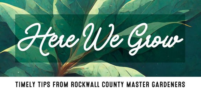 Rockwall County Master Gardeners: The Weird and Wonderful World of Worm Composting