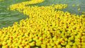 Rubber Duck Regatta and Jeep Festival Returns Oct. 10