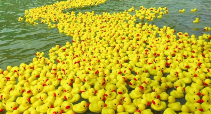 Rubber Duck Regatta and Jeep Festival Returns Oct. 10