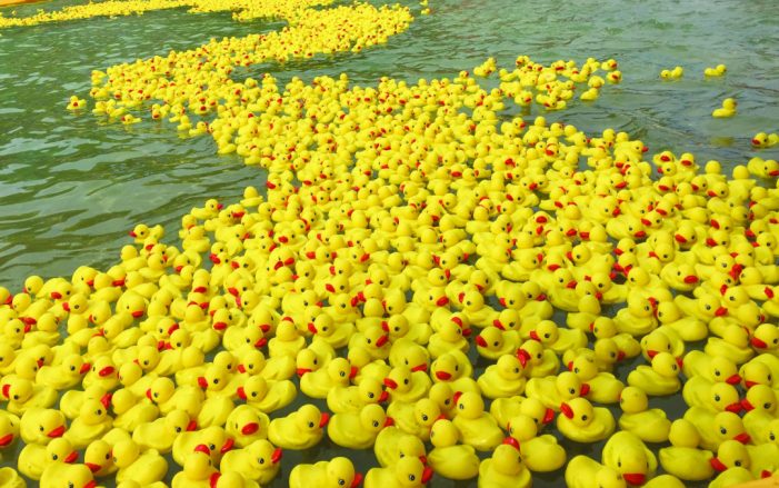 Rubber Duck Regatta and Jeep Festival Returns Oct. 10
