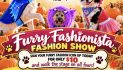 Pumpkins and Paws brings furry fashion and family fun to Rockwall Nov. 7