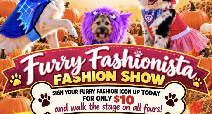 Pumpkins and Paws brings furry fashion and family fun to Rockwall Nov. 7