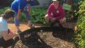 Rockwall County Master Gardeners: What Gardening Gives Us All