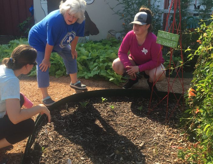 Rockwall County Master Gardeners: What Gardening Gives Us All