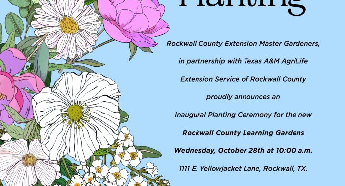 Rockwall County Extension Master Gardeners Host “Inaugural Planting” for New Learning Gardens
