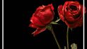 Rockwall High brings ‘Romeo and Juliet’ to life inside a museum